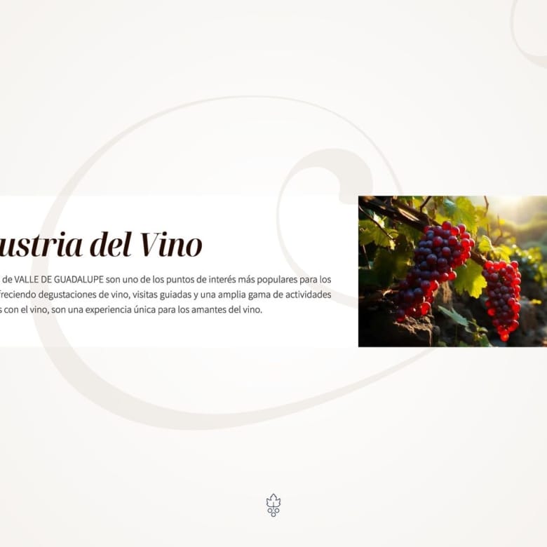 ¡Descubre Encanto del Valle: Tu Oasis en el Valle de Guadalupe!