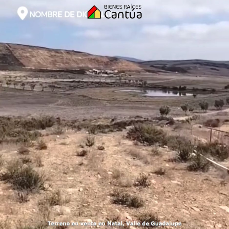 Terreno en venta | 4 hectáreas de potencial | Natal Valle de Guadalupe