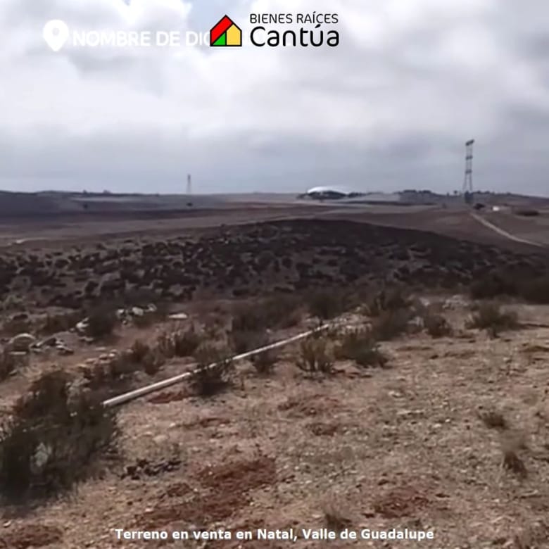 Terreno en venta | 4 hectáreas de potencial | Natal Valle de Guadalupe