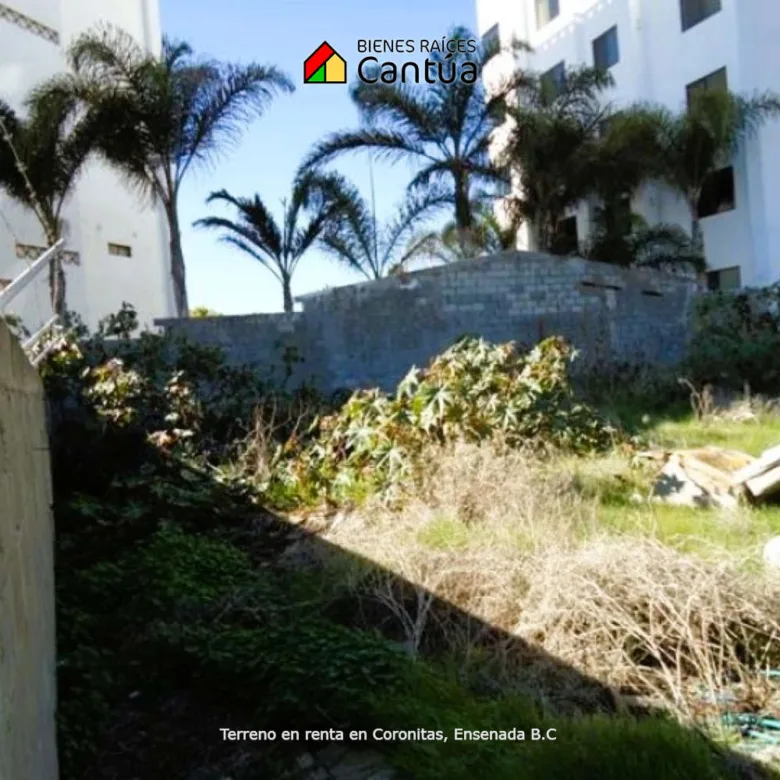Terreno en renta | Ubicación estratégica sobre carretera | Coronitas, Ensenada, B.C.