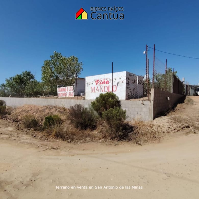 Terreno en venta | Viñedo con árboles frutales | San Antonio de las Minas