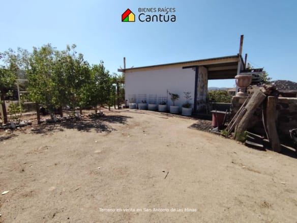 Terreno en venta | Viñedo con árboles frutales | San Antonio de las Minas
