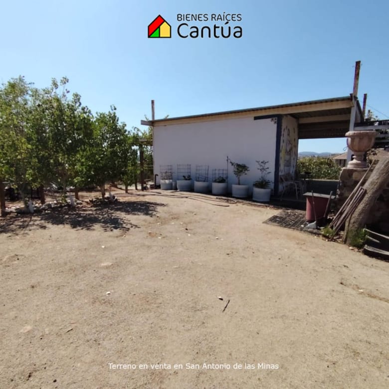 Terreno en venta | Viñedo con árboles frutales | San Antonio de las Minas