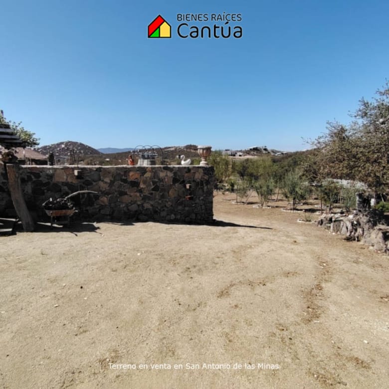 Terreno en venta | Viñedo con árboles frutales | San Antonio de las Minas