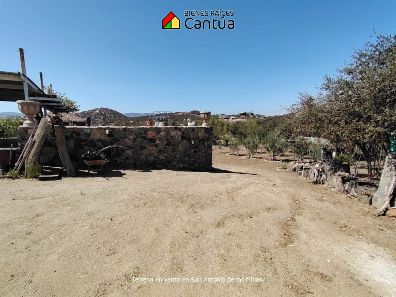 Terreno en venta | Viñedo con árboles frutales | San Antonio de las Minas