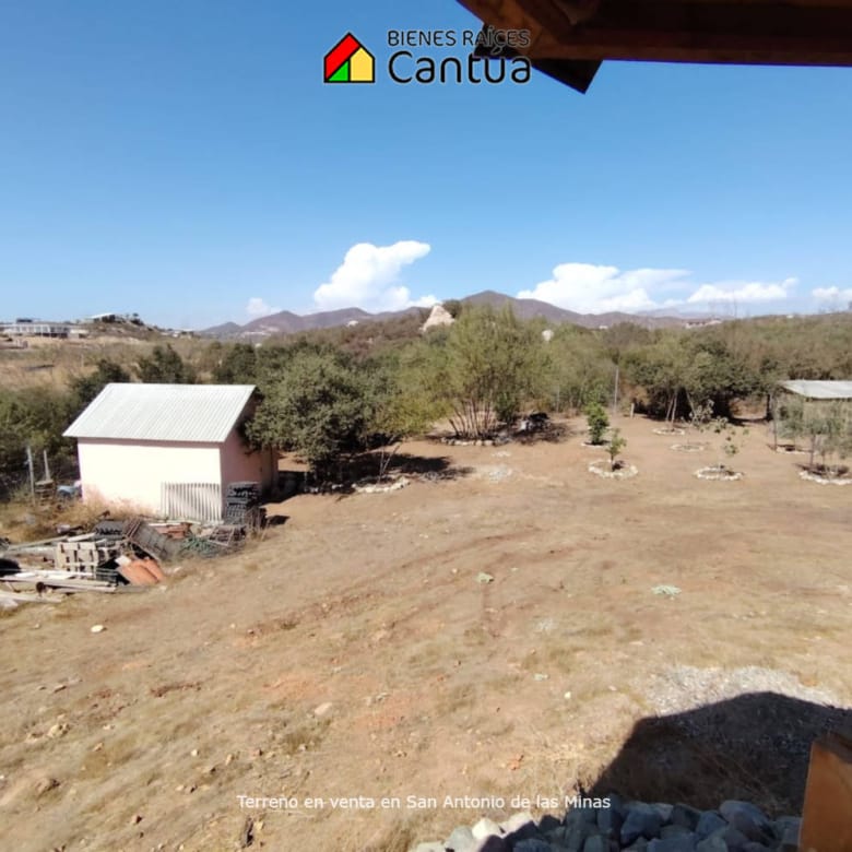 Terreno en venta | Viñedo con árboles frutales | San Antonio de las Minas