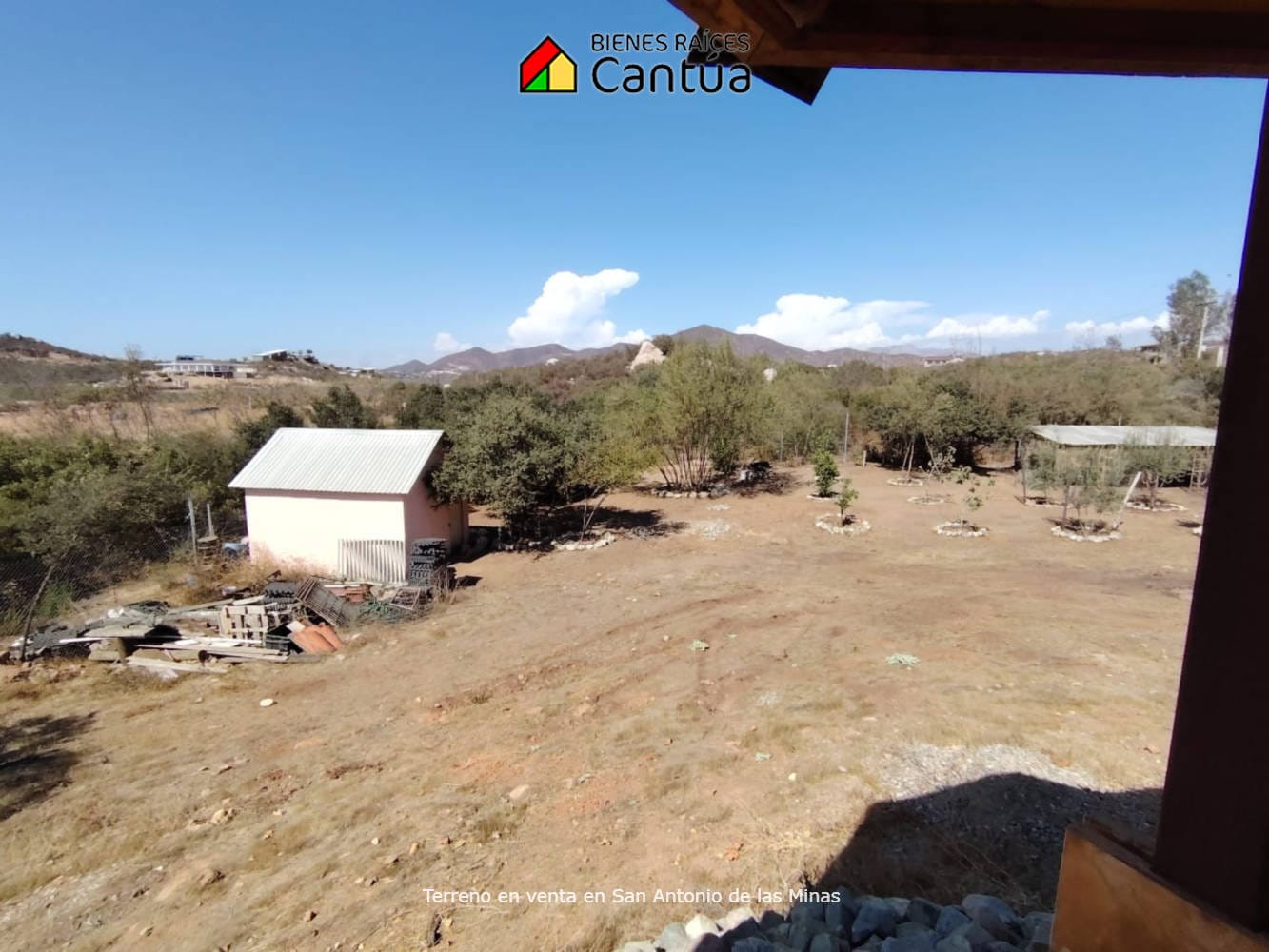 Terreno en venta | Viñedo con árboles frutales | San Antonio de las Minas