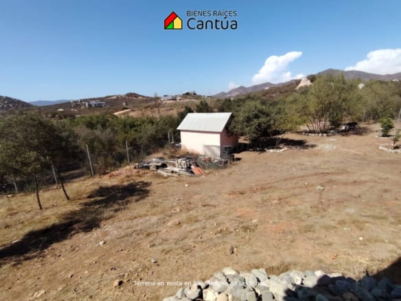Terreno en venta | Viñedo con árboles frutales | San Antonio de las Minas