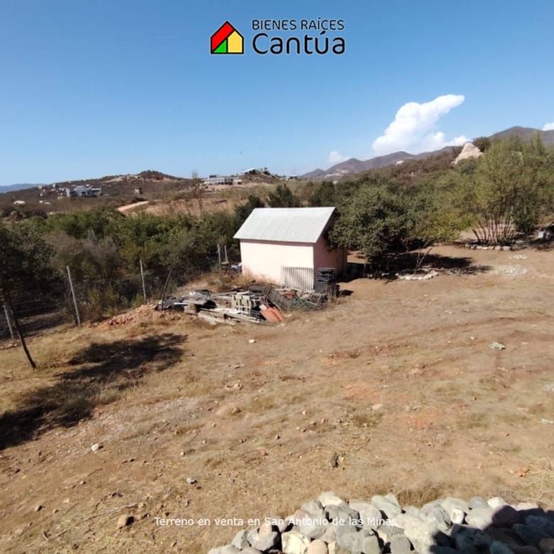 Terreno en venta | Viñedo con árboles frutales | San Antonio de las Minas