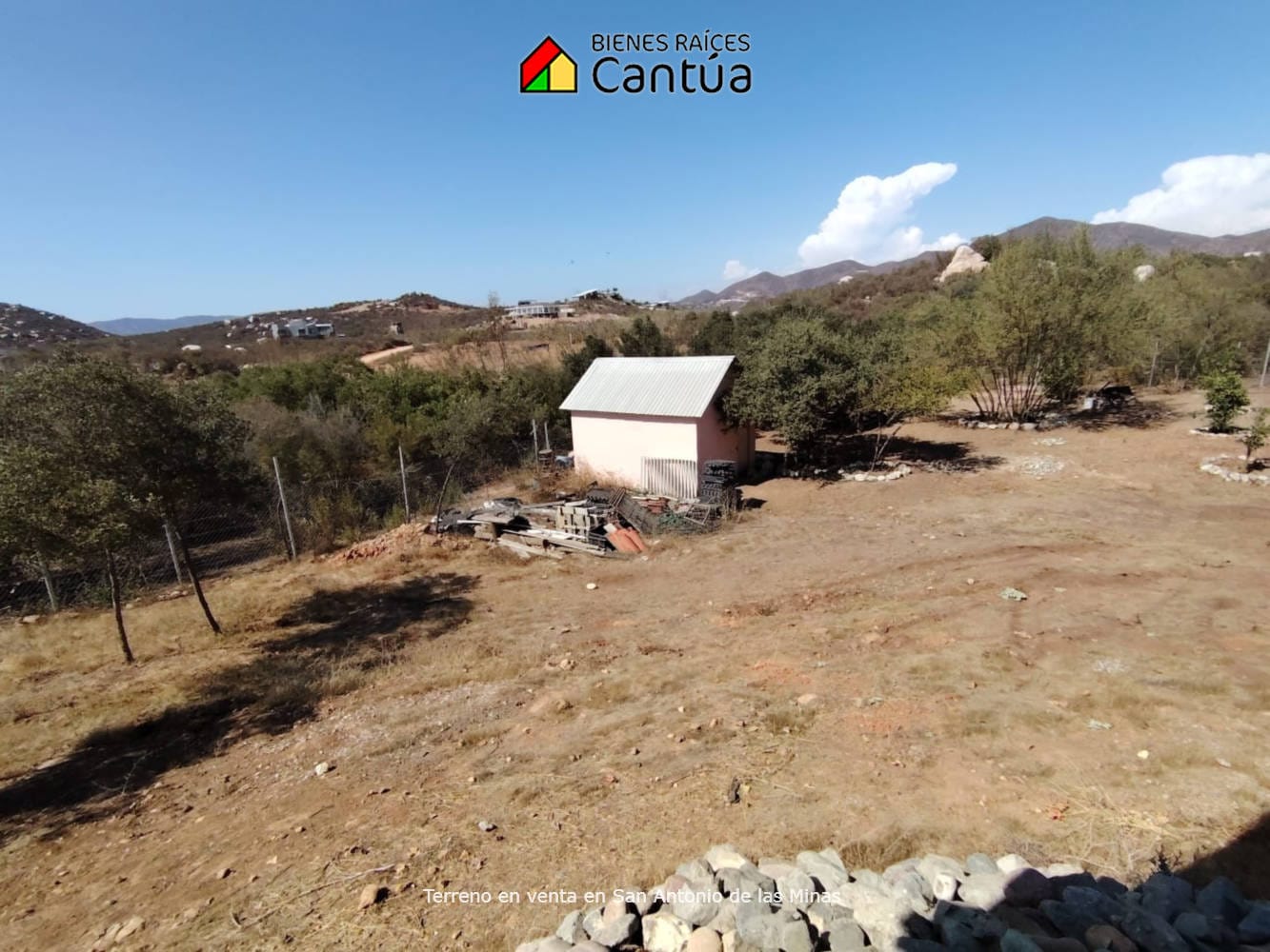 Terreno en venta | Viñedo con árboles frutales | San Antonio de las Minas