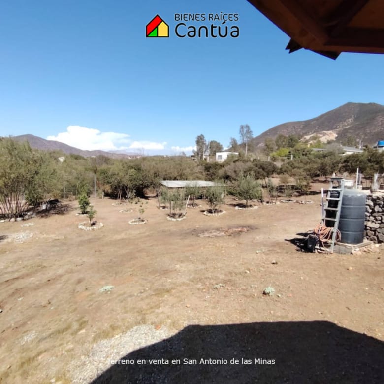 Terreno en venta | Viñedo con árboles frutales | San Antonio de las Minas
