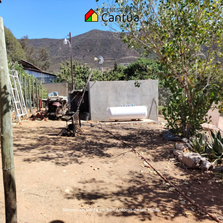 Terreno en venta | Viñedo con árboles frutales | San Antonio de las Minas