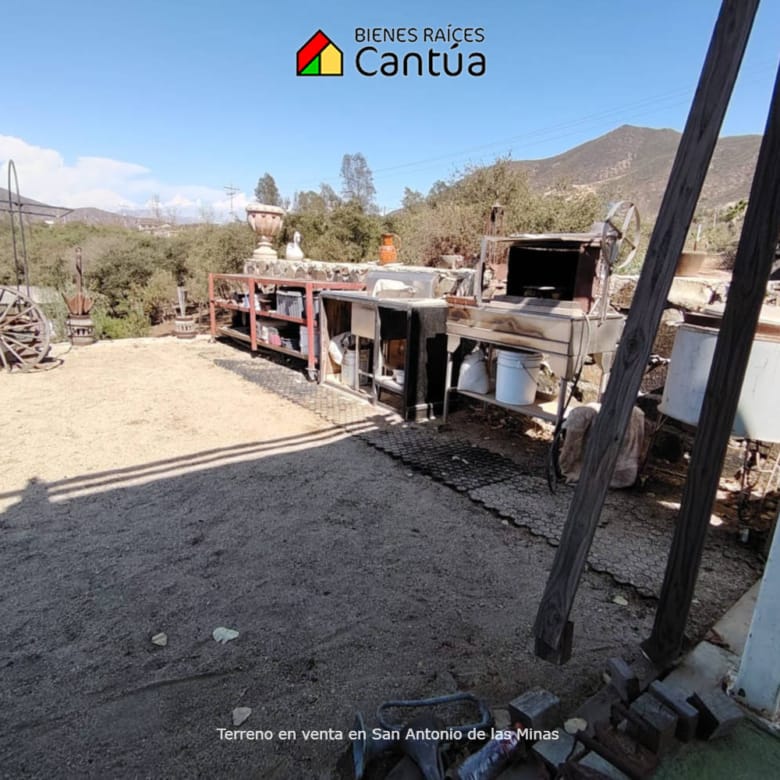 Terreno en venta | Viñedo con árboles frutales | San Antonio de las Minas