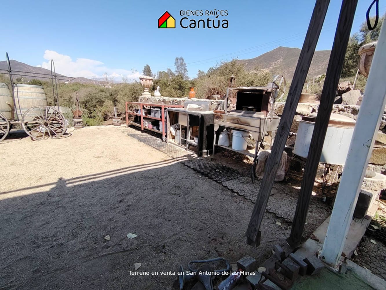 Terreno en venta | Viñedo con árboles frutales | San Antonio de las Minas