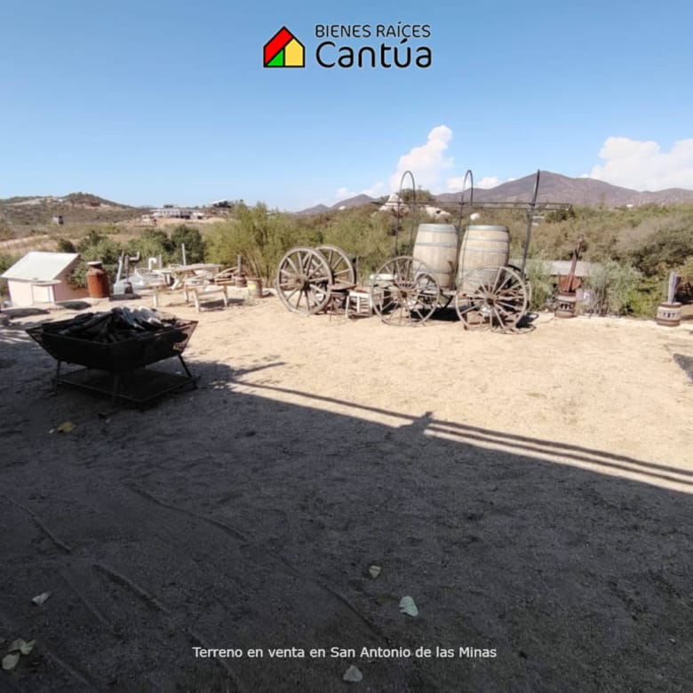Terreno en venta | Viñedo con árboles frutales | San Antonio de las Minas