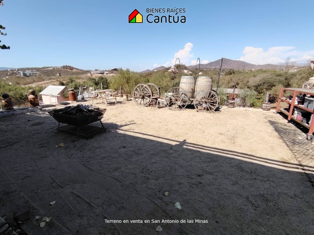 Terreno en venta | Viñedo con árboles frutales | San Antonio de las Minas