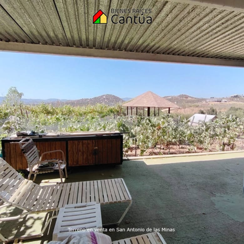 Terreno en venta | Viñedo con árboles frutales | San Antonio de las Minas