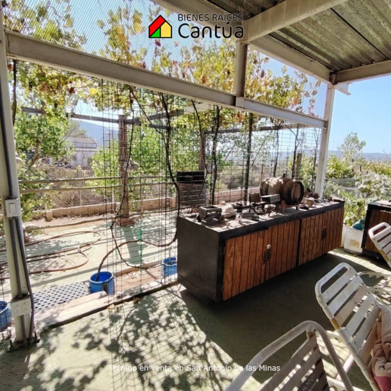Terreno en venta | Viñedo con árboles frutales | San Antonio de las Minas