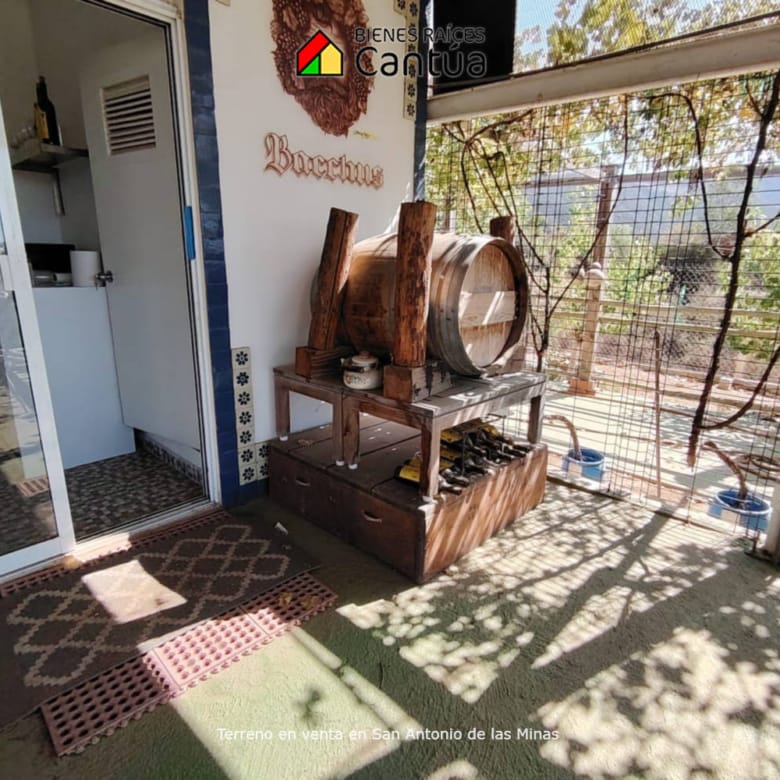 Terreno en venta | Viñedo con árboles frutales | San Antonio de las Minas