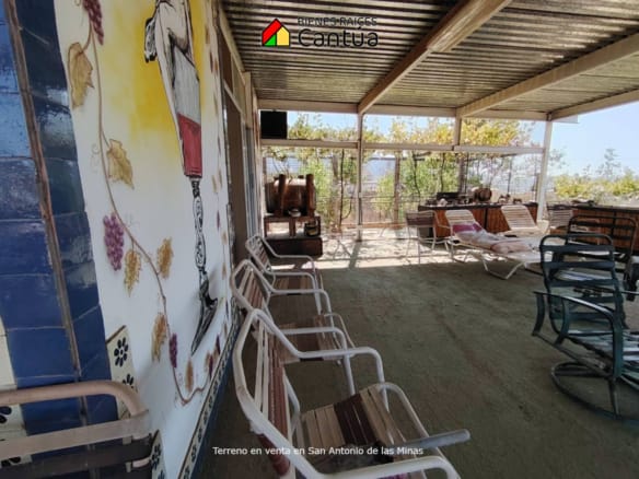 Terreno en venta | Viñedo con árboles frutales | San Antonio de las Minas