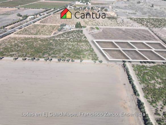 Lotes en venta | A metros de la calle principal | Francisco Zarco, Valle de Guadalupe