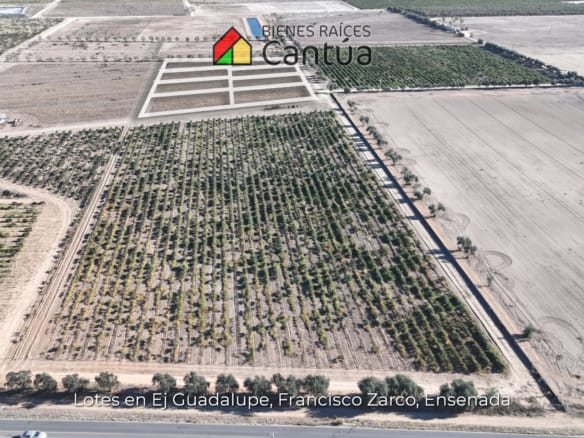 Lotes en venta | A metros de la calle principal | Francisco Zarco, Valle de Guadalupe