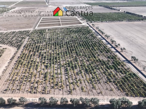 Lotes en venta | A metros de la calle principal | Francisco Zarco, Valle de Guadalupe