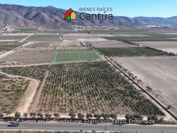 Lotes en venta | A metros de la calle principal | Francisco Zarco, Valle de Guadalupe