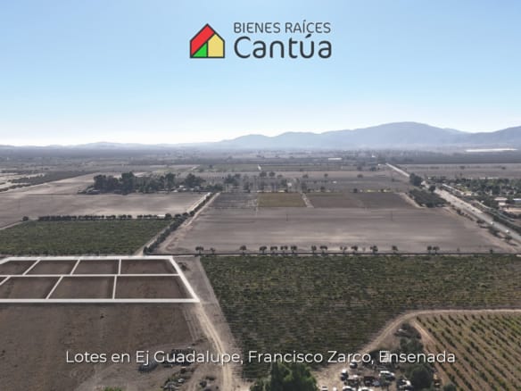 Lotes en venta | A metros de la calle principal | Francisco Zarco, Valle de Guadalupe