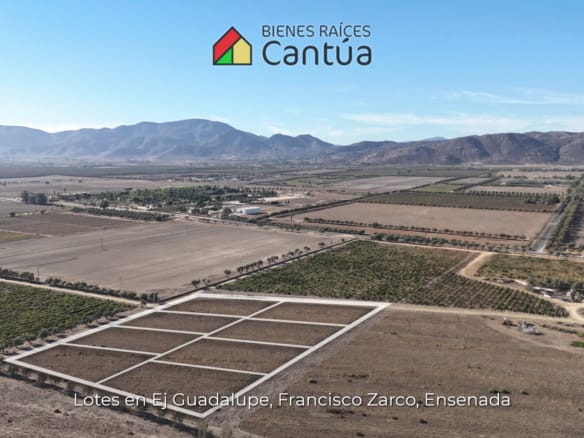 Lotes en venta | A metros de la calle principal | Francisco Zarco, Valle de Guadalupe