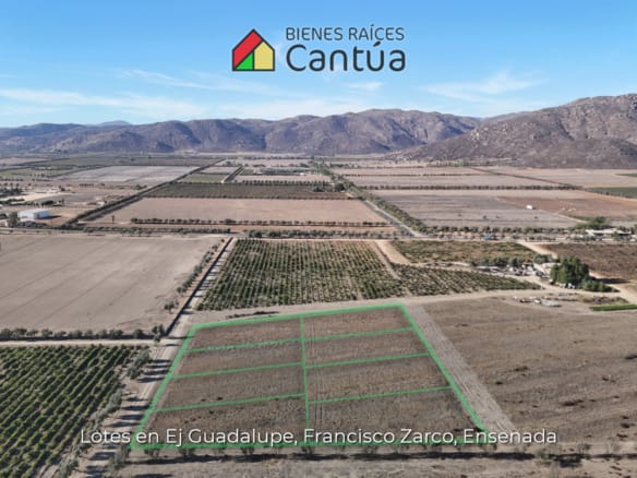 Lotes en venta | A metros de la calle principal | Francisco Zarco, Valle de Guadalupe
