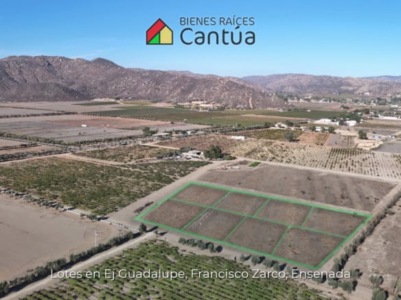 Lotes en venta | A metros de la calle principal | Francisco Zarco, Valle de Guadalupe