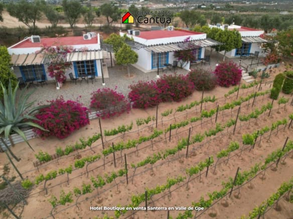 Hotel boutique en venta | 8 suites + viñedo | Valle de Guadalupe