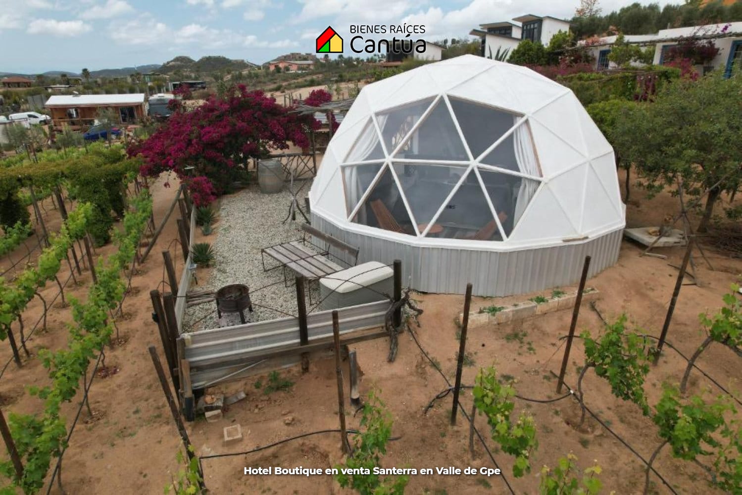 Hotel boutique en venta | 8 suites + viñedo | Valle de Guadalupe