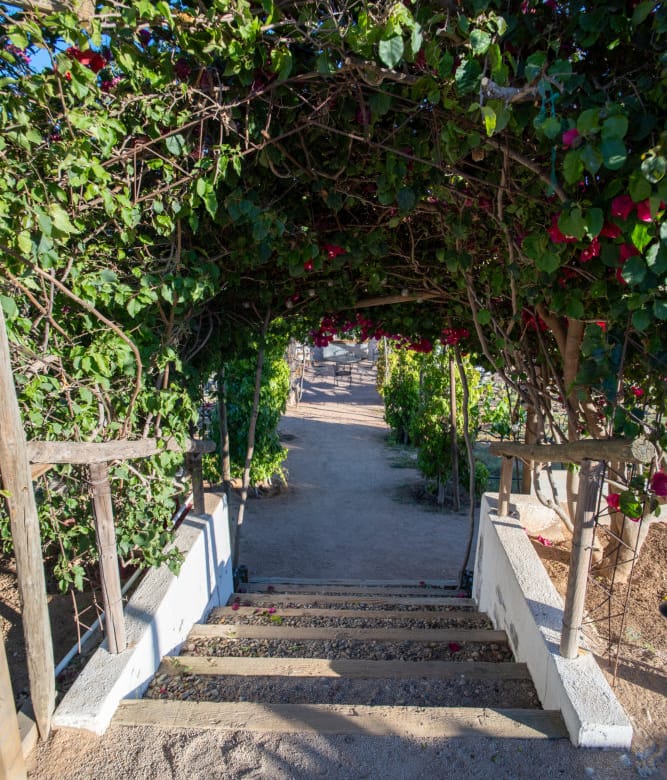 Hotel boutique en venta | 8 suites + viñedo | Valle de Guadalupe