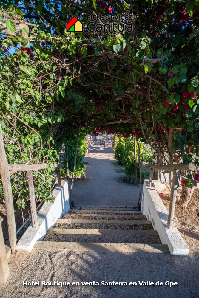 Hotel boutique en venta | 8 suites + viñedo | Valle de Guadalupe