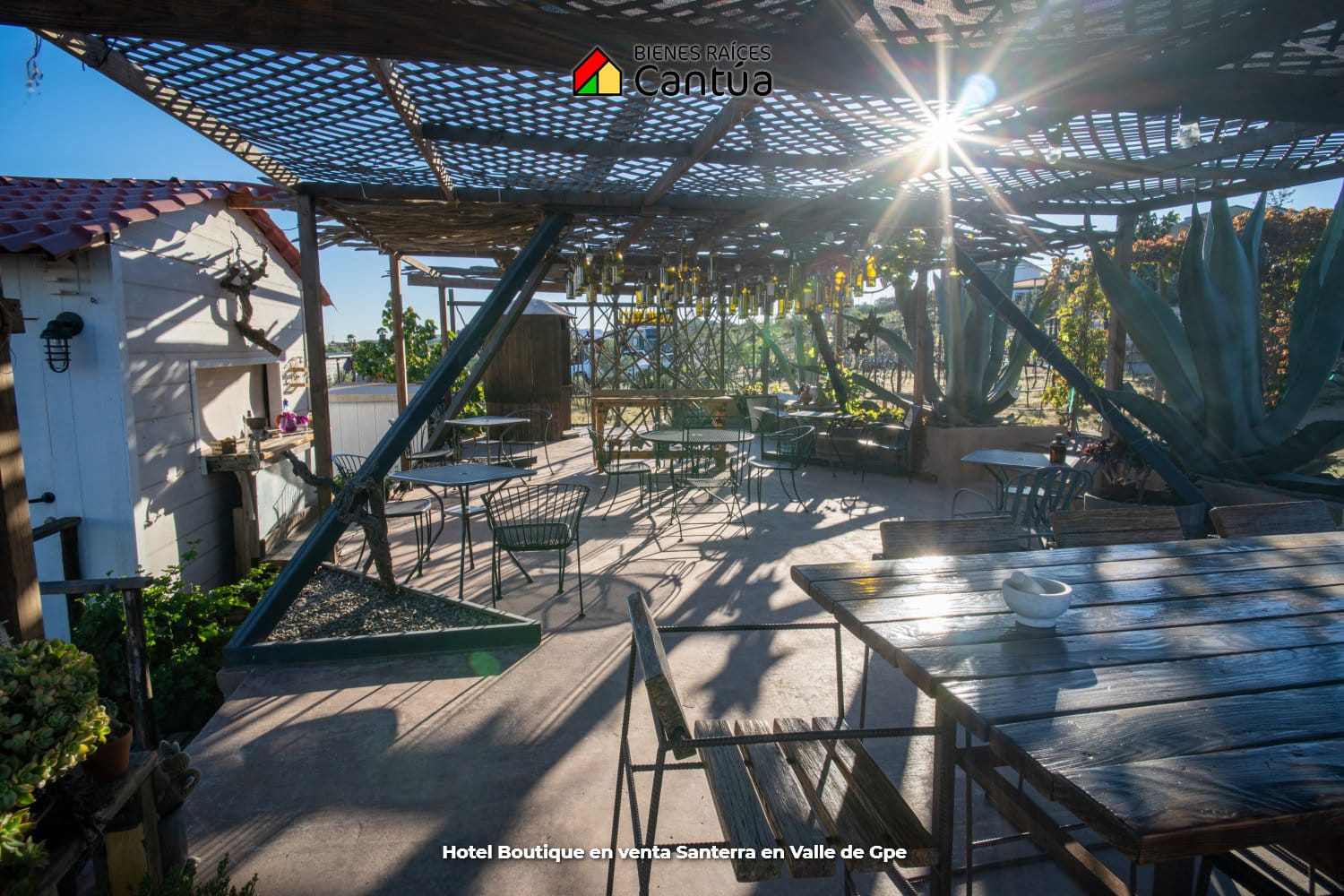 Hotel boutique en venta | 8 suites + viñedo | Valle de Guadalupe