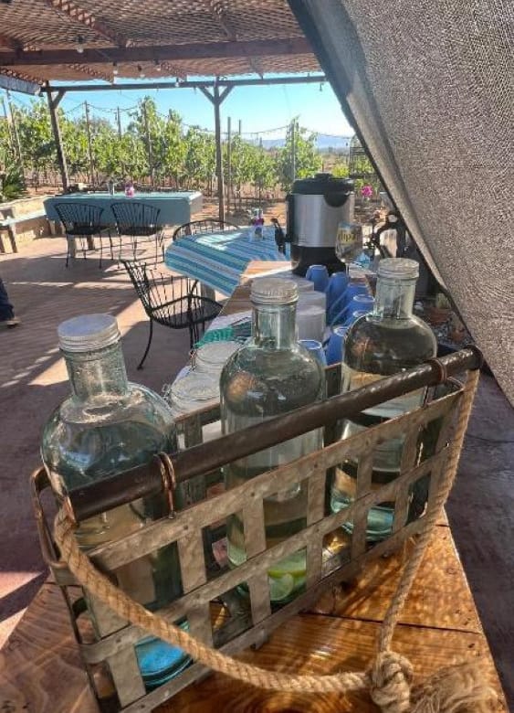 Hotel boutique en venta | 8 suites + viñedo | Valle de Guadalupe