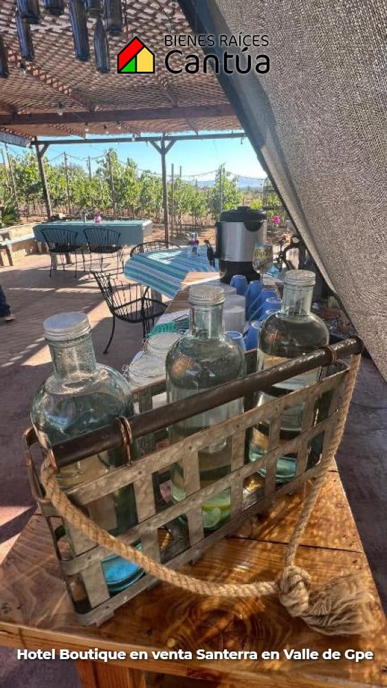 Hotel boutique en venta | 8 suites + viñedo | Valle de Guadalupe
