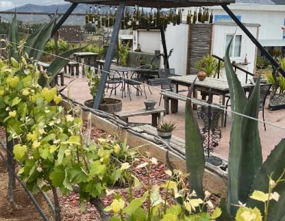 Hotel boutique en venta | 8 suites + viñedo | Valle de Guadalupe