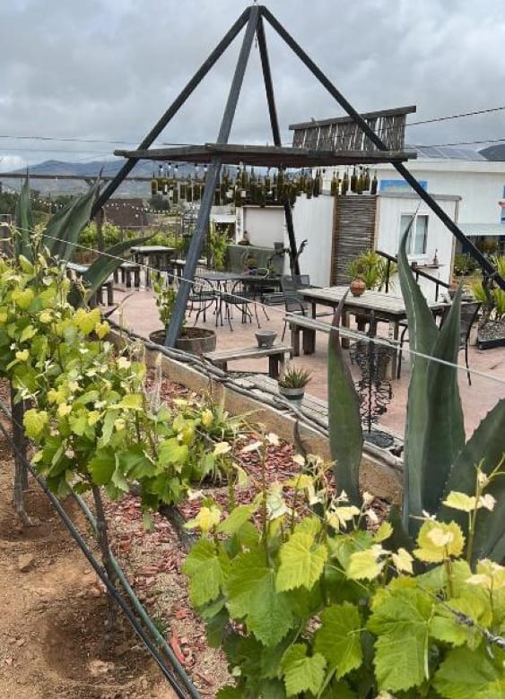 Hotel boutique en venta | 8 suites + viñedo | Valle de Guadalupe