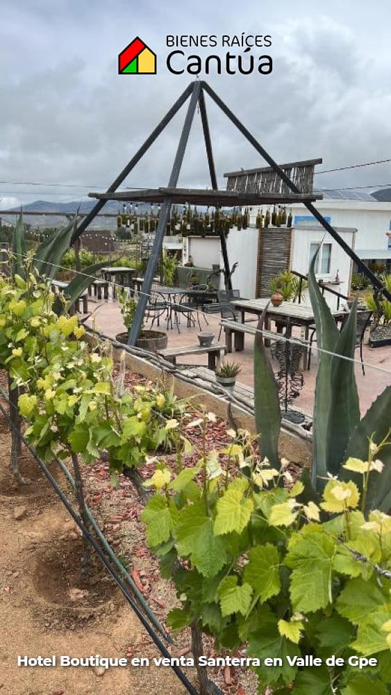 Hotel boutique en venta | 8 suites + viñedo | Valle de Guadalupe