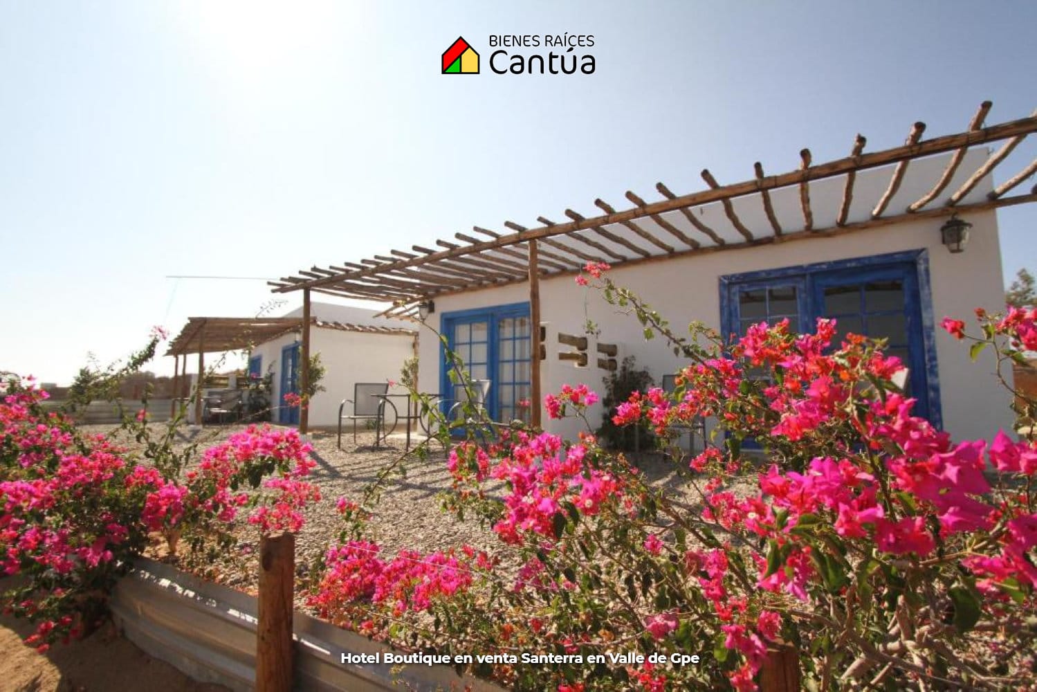 Hotel boutique en venta | 8 suites + viñedo | Valle de Guadalupe