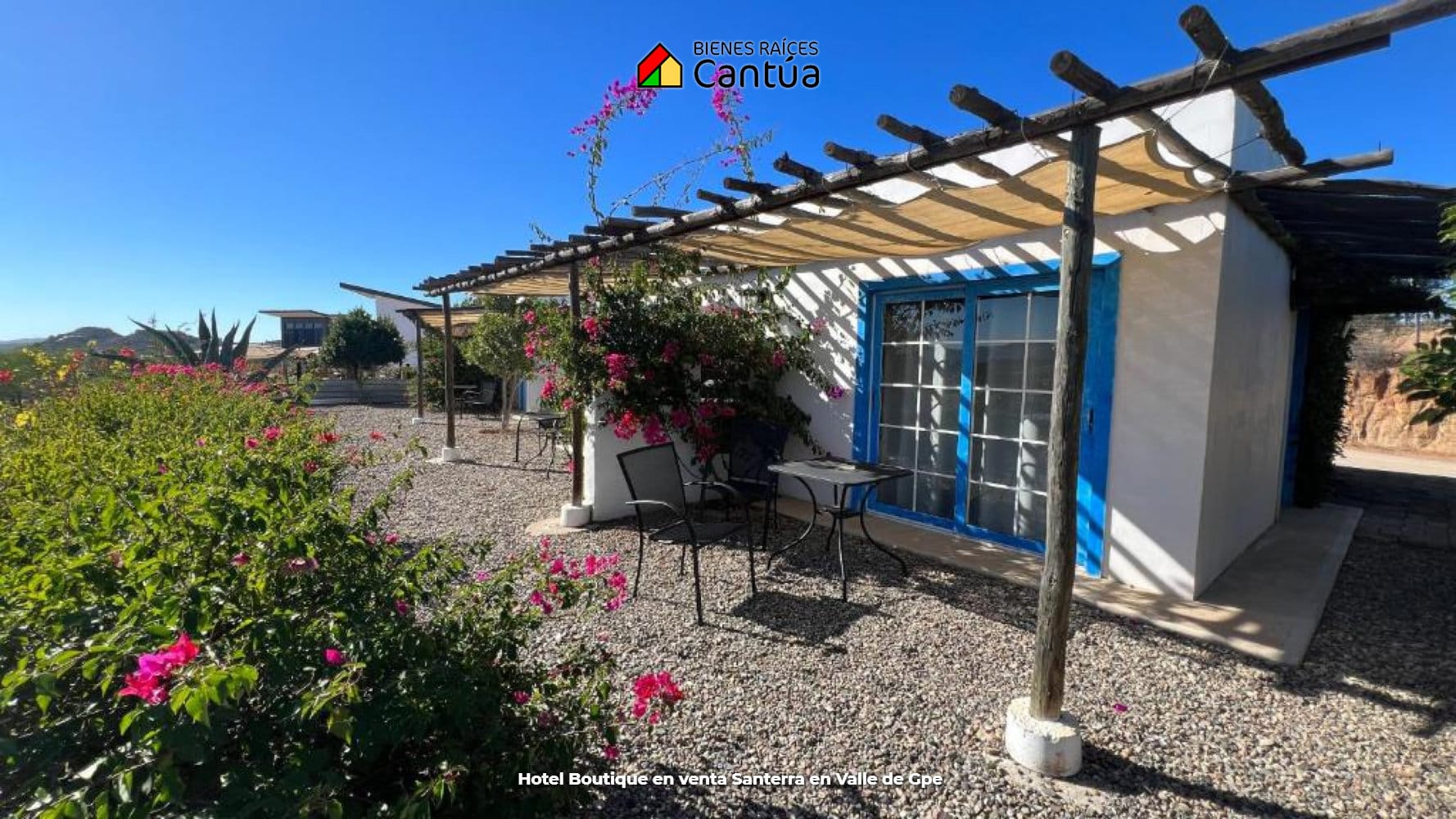 Hotel boutique en venta | 8 suites + viñedo | Valle de Guadalupe
