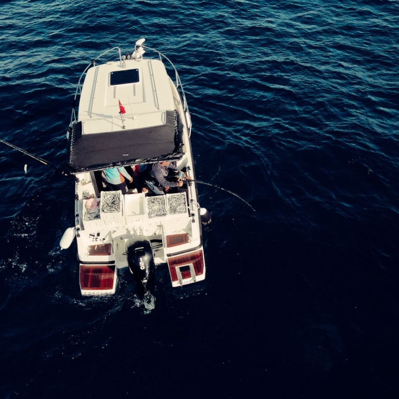El Calendario del Mar: Cómo los Residentes de Alto Nivel en Ensenada Organizan su Año alrededor de las Temporadas de Pesca, Buceo y Navegación